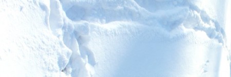 2012-01-15_3999