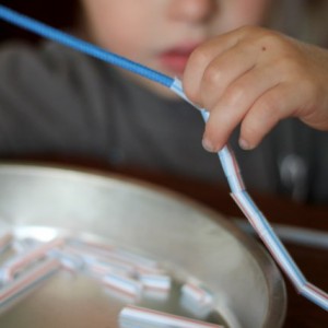 Simple Straw-Threaded Shoestring Necklace (1)