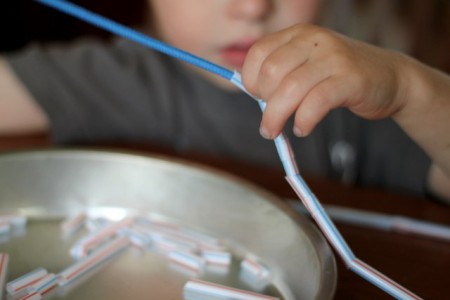 Simple Straw-Threaded Shoestring Necklace (1)