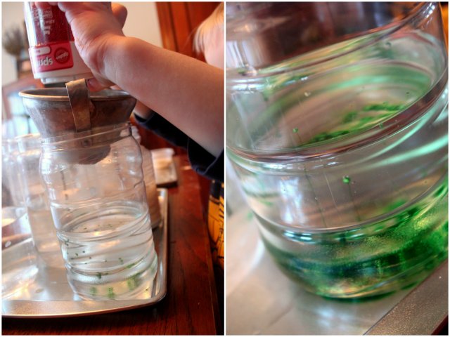 What Dissolves Kids Experiment