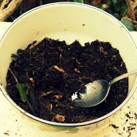 Fun Activities for Kids to Play in the Dirt!
