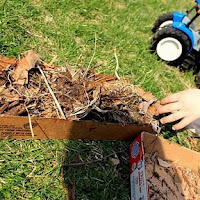 Fun Activities for Kids to Play in the Dirt!