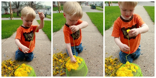 Outdoor Play : Dandelion Picking