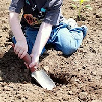 Fun Activities for Kids to Play in the Dirt!