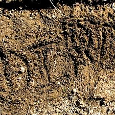 Fun Activities for Kids to Play in the Dirt!