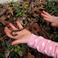 Fun Activities for Kids to Play in the Dirt!