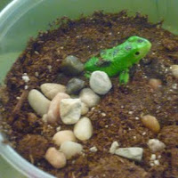 Fun Activities for Kids to Play in the Dirt!