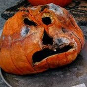 pumpkin activity