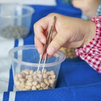 Use tweezers in fine motor activities