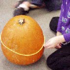 pumpkin activity