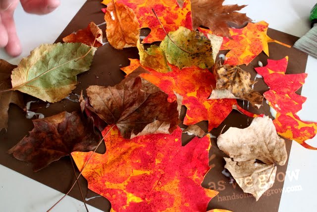 leaf collage