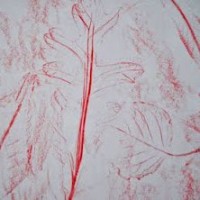 crayon rubbings
