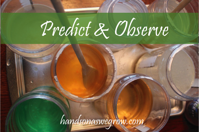 what dissolves, predict & observe