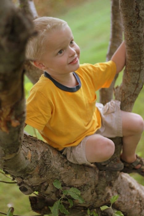 Climbing trees!