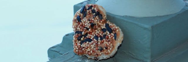 homemade bird feeder-001