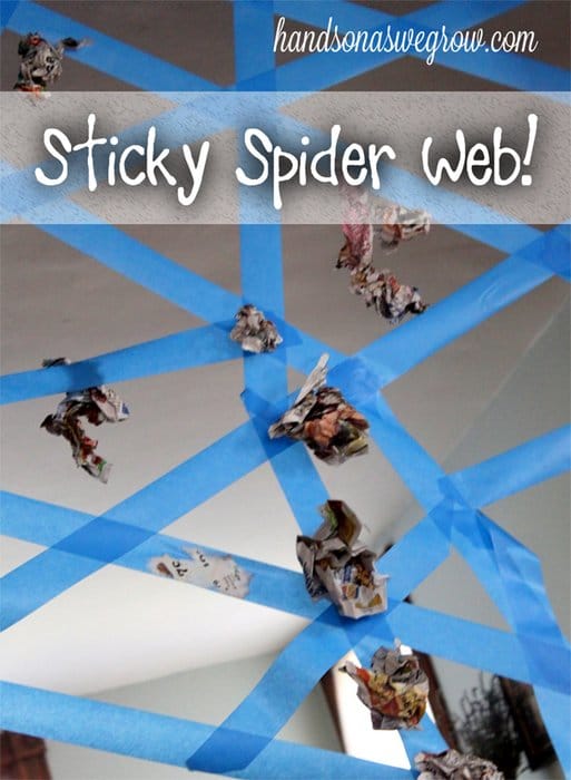 Sticky Spider Web Activity
