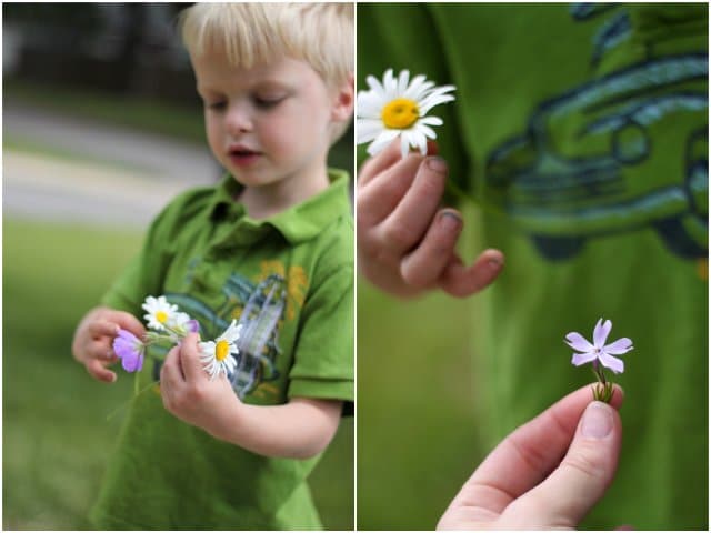 Counting flower petals - one of many great nature activities for kids to do!