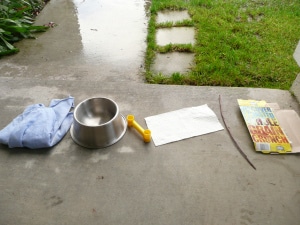 Rainy Day Fun: Science Experiment for Kids from A Mom with a Lesson Plan