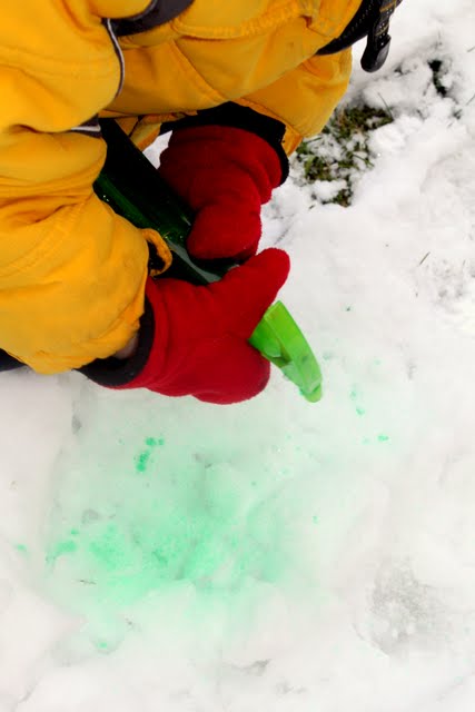Head outside for a fun coloring snow activity with your kids!