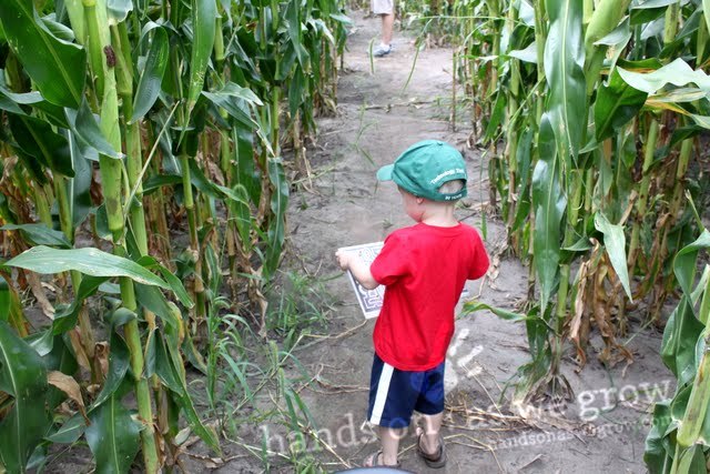 We loved exploring a corn maze so much that we decided to make a big chalk maze at home!