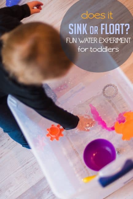 Simple Sink Or Float Experiment Perfect For Curious Toddlers