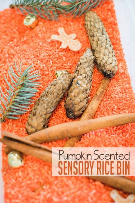Make a super scented pumpkin scented rice sensory bin with your kids!