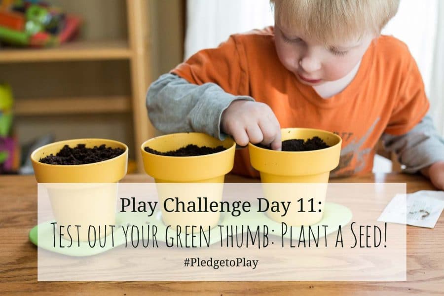 Day 11 Play Activity: Plant a seed! Pledge to play for an hour every day for 30 days?