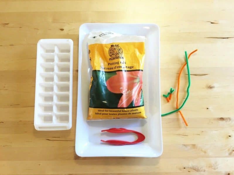 Creating your own garden fine motor activity at home