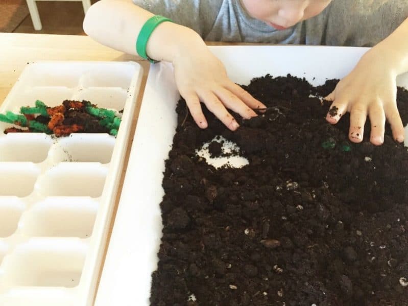A sensory garden fine motor activity is a fun way to learn about spring.
