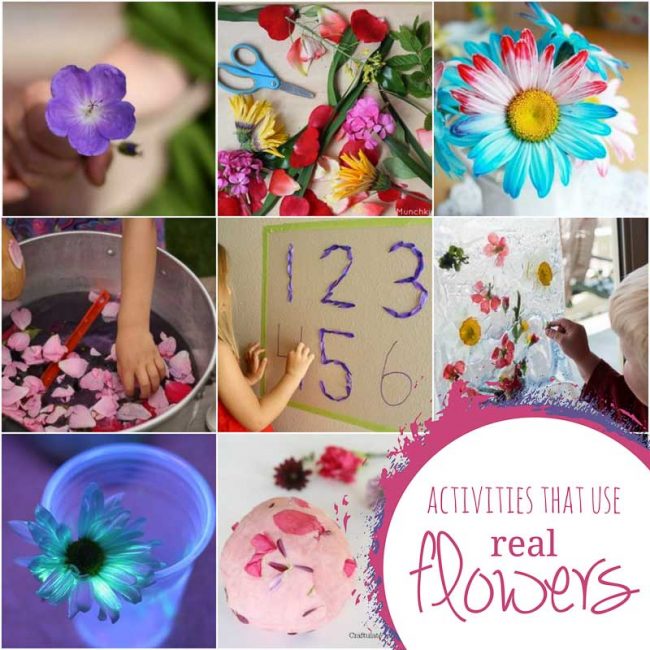 Activities for kids that use real flowers
