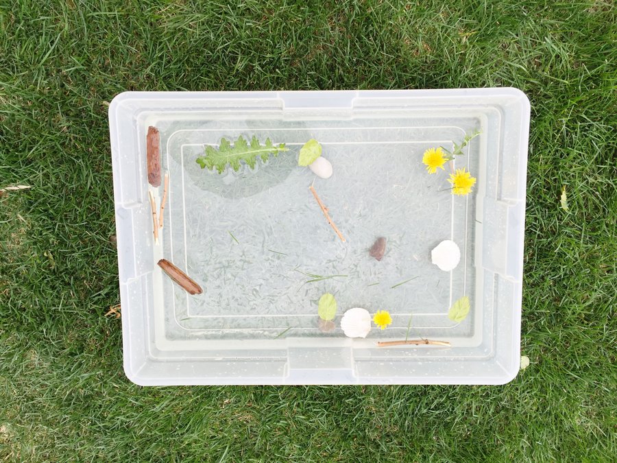 A nature sink or float experiment!