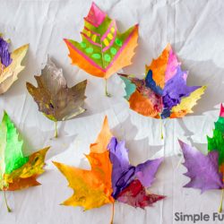 Fall craft with dried leaves 