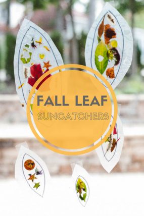 What a cute fall leaf suncatcher craft that's so simple for the kids to make!