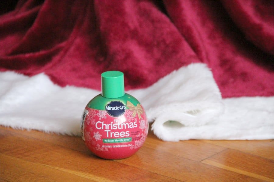 Christmas ornament craft and Miracle Gro for Christmas Trees will make memories this year.