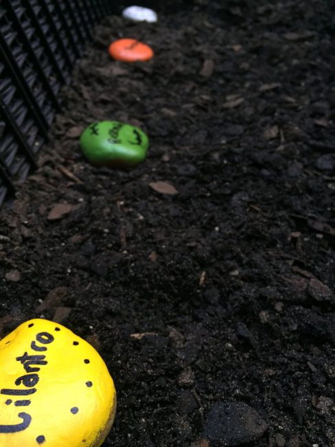 Make these cute garden markers for kids in a simple painted rock activity.