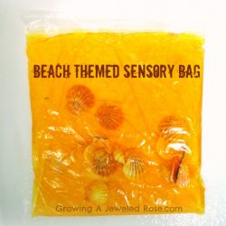 Beach-Themed Sensory Bag