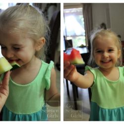 Exploring Taste with Watermelon