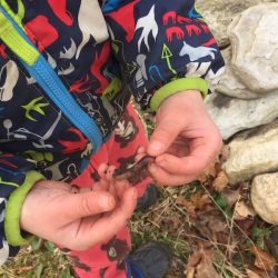 Teach your kids about vermicomposting with worms!