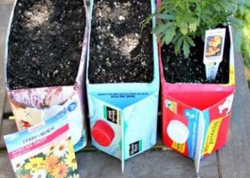 Upcycled Planter Flower Garden for Kids