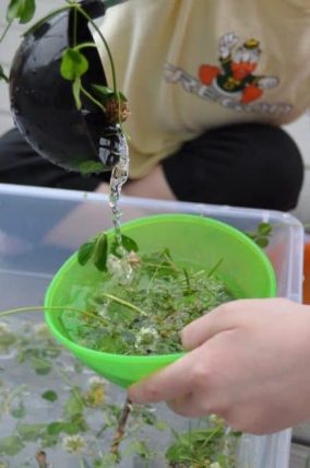 Nature soup sensory activity - so simple!