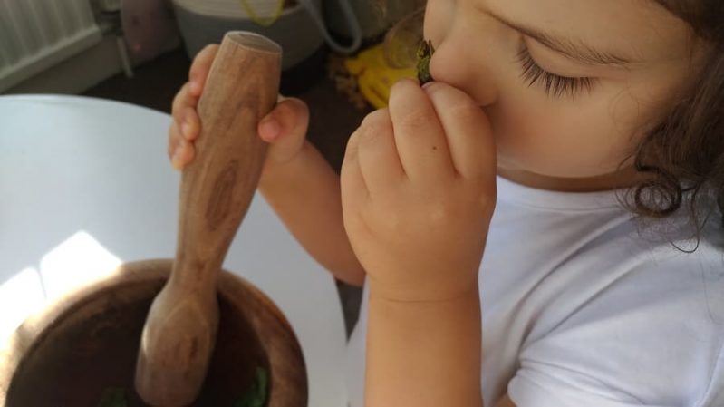 Let your preschoolers explore with this simple mortar and pestle montessori activity that‘a sensory, fine and gross motor, and an experiment.