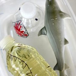Little Bins for Little Hands- Shark Buoyancy