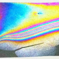 Science Kiddo Rainbow Paper