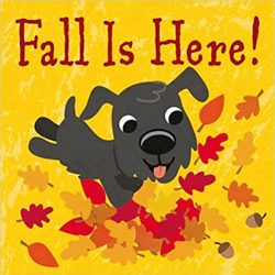 Fall is Here! by Fhiona Galloway