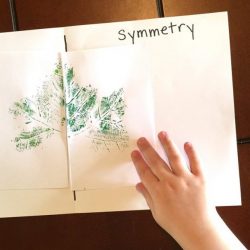 Learn Symmetry with No Worksheets- Hands On As We Grow