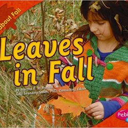 Leaves in Fall by Martha E. Rustad
