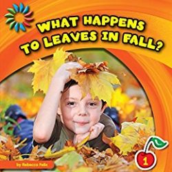 What Happens to Leaves in Fall? by Rebecca Felix