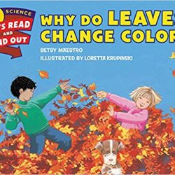 Why Do Leaves Change Colors by Betsy Maestro