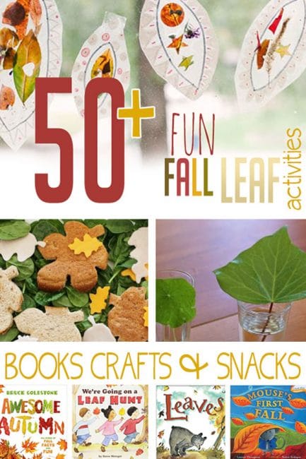 Have Fall fun with 50+ fun fall leaf themed activities, books, snacks, and crafts for kids!