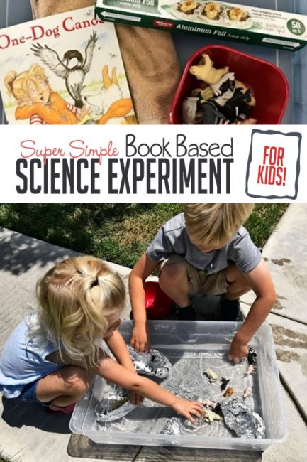 Your kids will love this fun book based science experiment to learn more about sinking and floating!